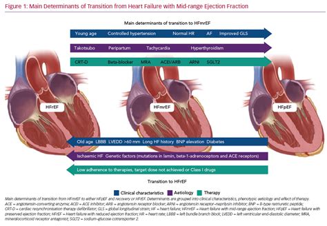 lvef dysfunction|recovered ejection fraction heart failure.